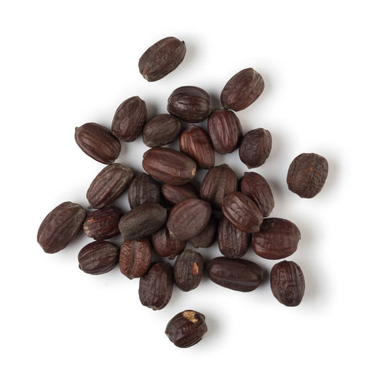 Jojoba Seeds