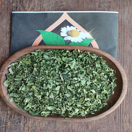 Moringa