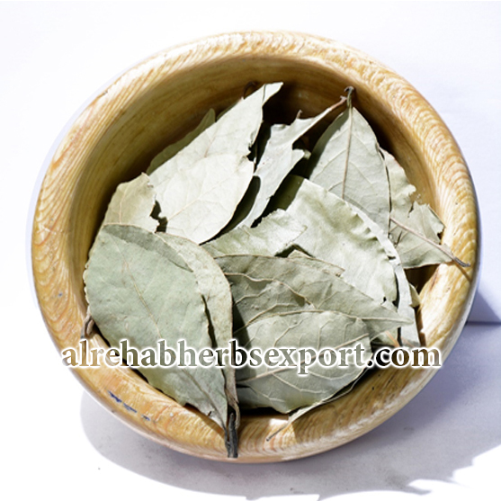 Bay Leaf
