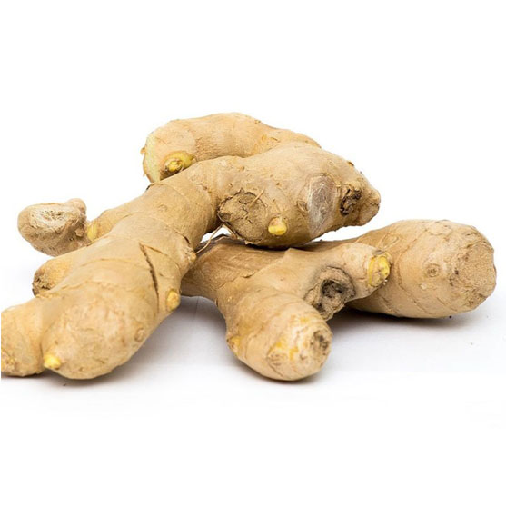Ginger
